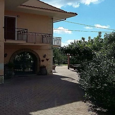 B&B Grandinetti Nocera Terinese Eksteriør billede