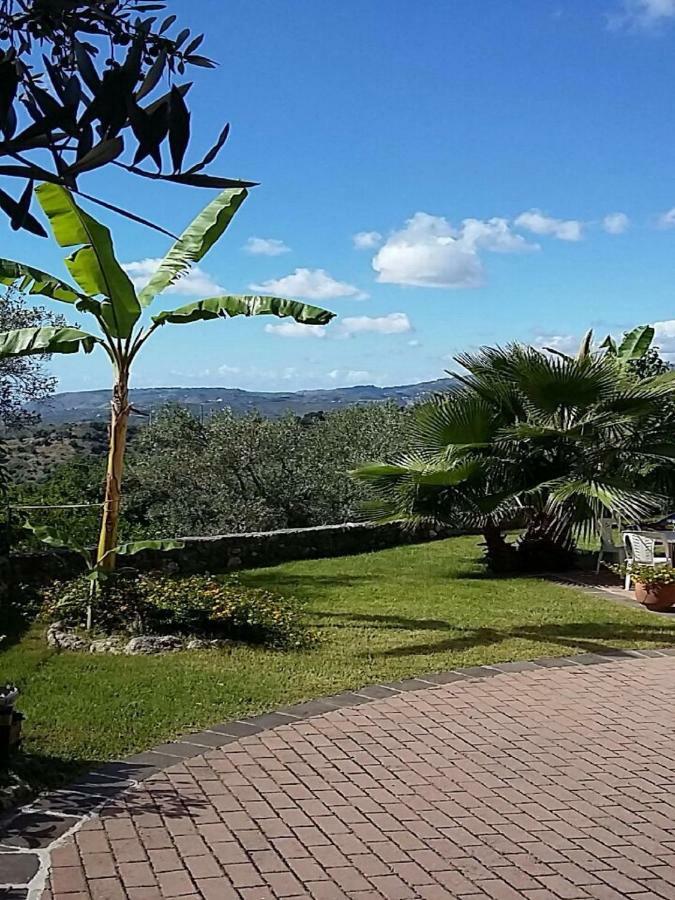 B&B Grandinetti Nocera Terinese Eksteriør billede